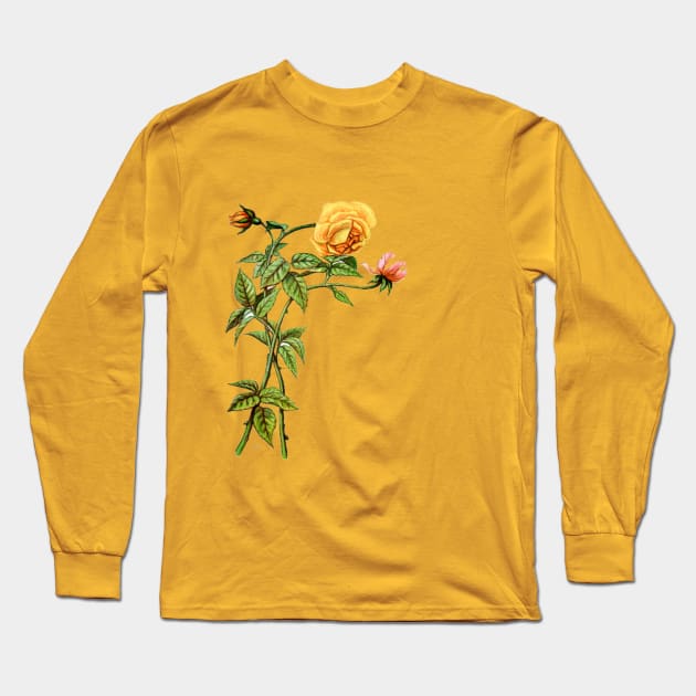 Yellow and pink roses Long Sleeve T-Shirt by MiljanaVuckovic